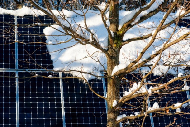 自家消費型太陽光発電は雪国の企業でも導入できる？
